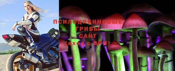 бошки Алексин